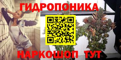 стаф Бузулук