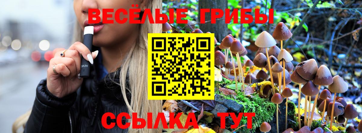 Галлюциногенные грибы Psilocybine cubensis  Вход с VPN  Валуйки  Галлюциногенные грибы Magic Shrooms 